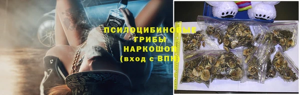 a pvp Алзамай