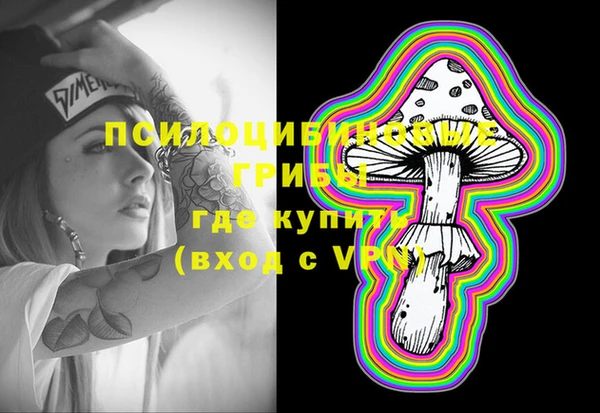 дмт Алексин