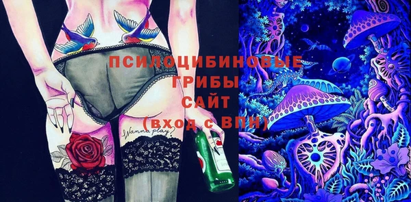 a pvp Алзамай